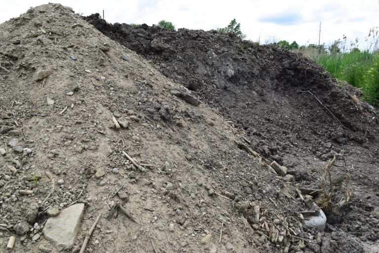 Fill Dirt